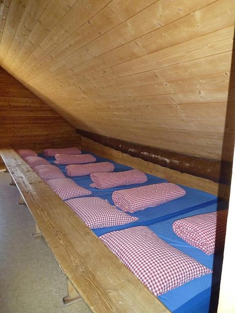 Jugendherberge Hospental Hostel in Canton of Ticino