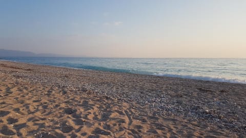 Beach, Area and facilities