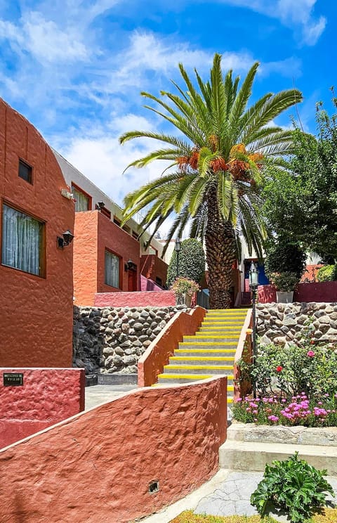 Property building, Garden, Garden view