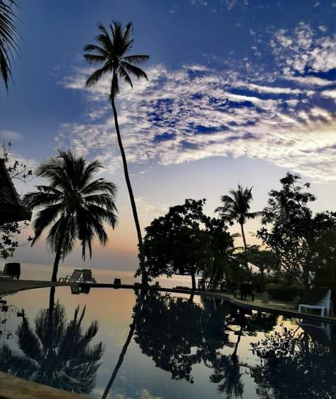 Day, Sea view, Swimming pool, Sunrise