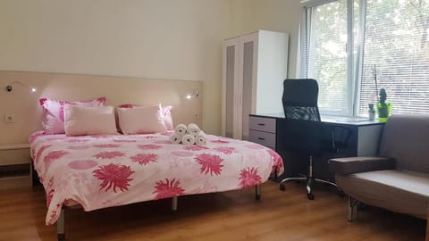 Bed, TV and multimedia, Living room, Photo of the whole room, Seating area, Bedroom, hair dresser, wardrobe