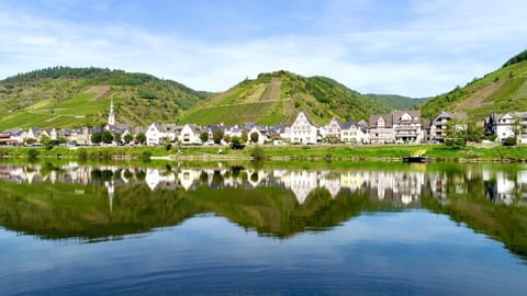 Hotel St. Georg Hotel in Ediger-Eller