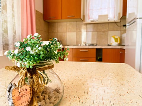 Holiday Home Marijana House in Dubrovnik-Neretva County