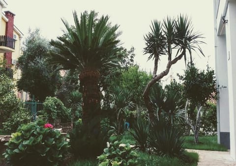 Guest House Djonovic Apartment in Budva Municipality