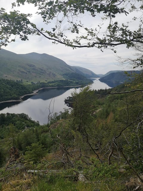 Shepherds hut Dolly wagon Farm Stay in Allerdale District
