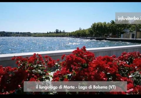 Civico 10 - Appartamento sul Lago Apartment in Umbria