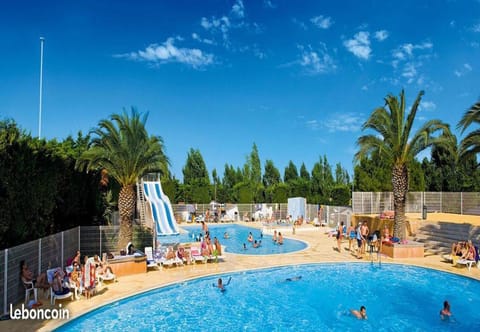Aqua park, Swimming pool