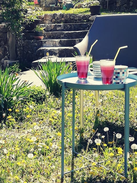 Apartment Jazz Apartment in Serbia