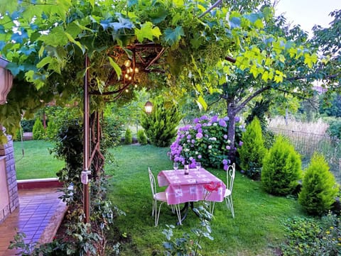Inner courtyard view