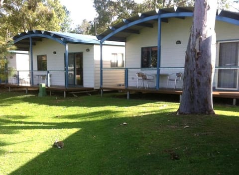 Property building, Day, Garden