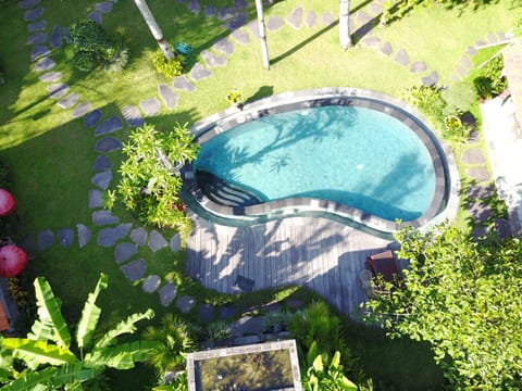 Day, On site, Swimming pool, Swimming pool