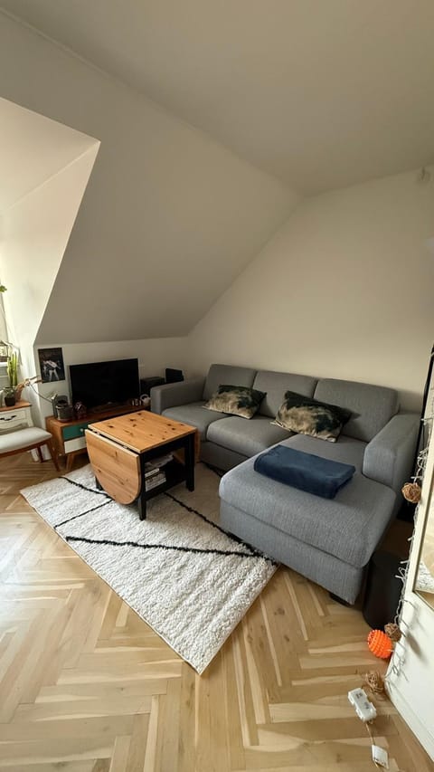 Borups Allé 249 Apartment in Copenhagen