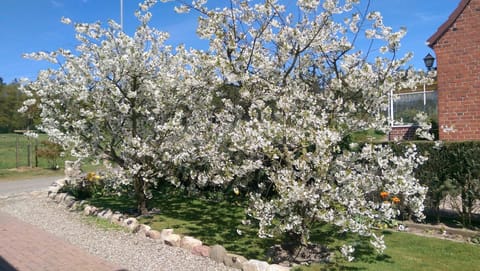 Ferienwohnungen Alfred Neils Apartment in Sierksdorf