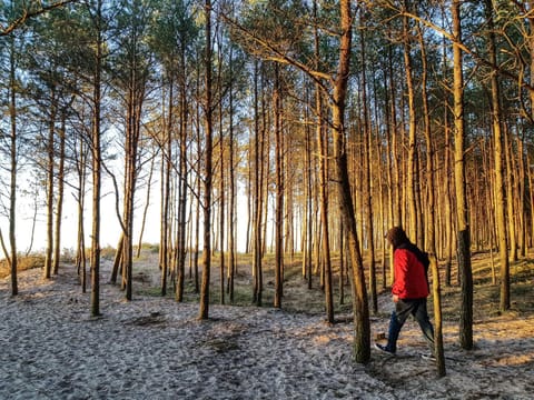 Domki Mielenko 'Akacjowa' House in West Pomeranian Voivodeship, Poland