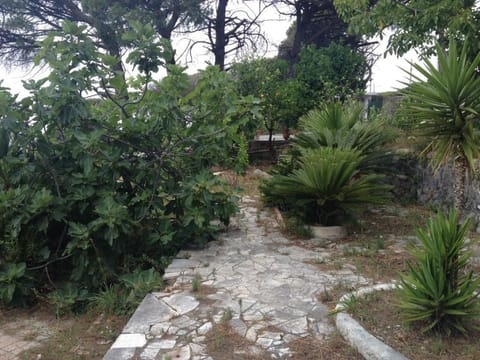 Villa Gianna Apartment in Ercolano