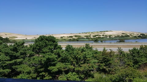 Blue Sea Motor Inn Motel in North Truro