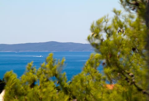 Sea view