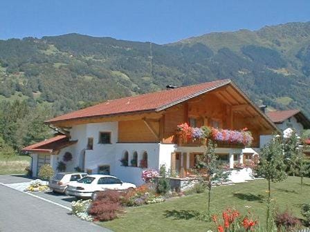 Property building, Summer