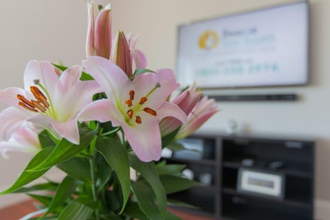 Leys Park Executive Apartments Apartment in Dunfermline