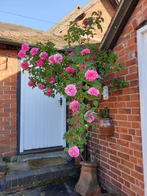Spring, Day, Garden, Garden view