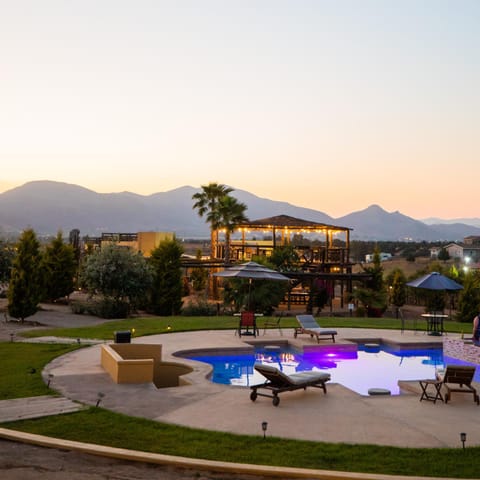 Property view