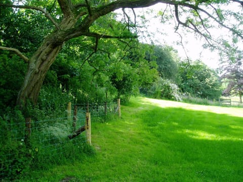 Garden, View (from property/room)