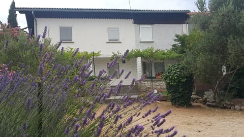 Apartments Metka Apartment in Murter