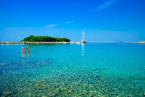 Apartments Metka Apartment in Murter