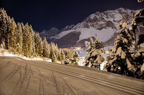 Haus Petersmann Bed and Breakfast in Schladming