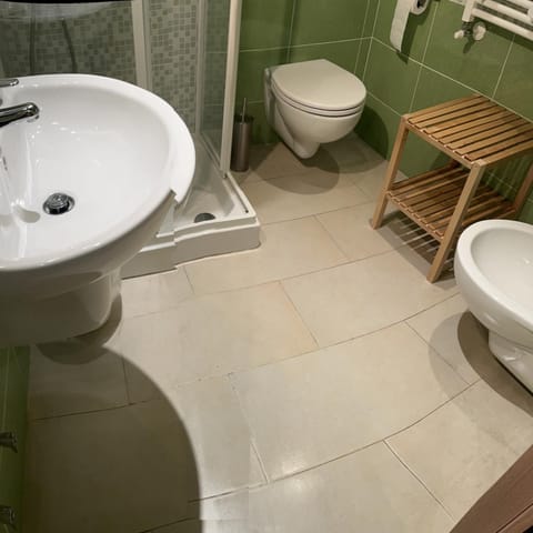 Shower, Toilet, Bathroom, bidet, hair dryier