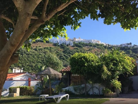 Day, Garden, Garden, City view