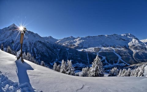 Residence Casa Federica Apartment hotel in Canton of Grisons