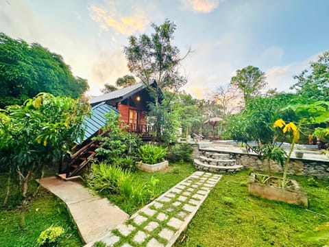 Natural landscape, Garden, Garden view