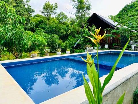 Garden view, Pool view, Swimming pool