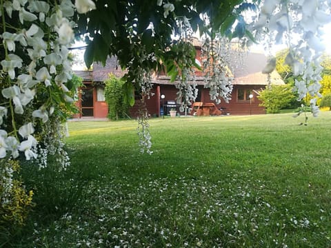Garden, Balcony/Terrace