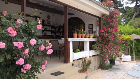 Cavo Paradiso Villa Villa in Decentralized Administration of Macedonia and Thrace