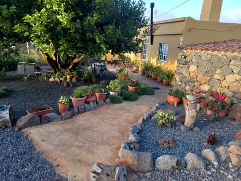 Facade/entrance, Off site, Garden, Garden