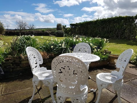 Patio, Garden, Garden view