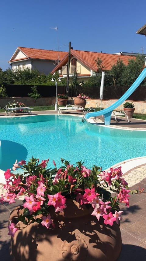 Swimming pool, Swimming pool