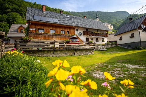 Property building, Natural landscape