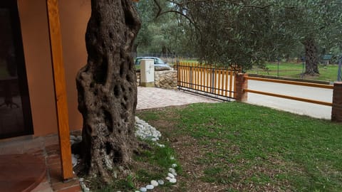 Olive Paradise Nature lodge in Ulcinj Municipality