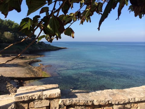 Other, Beach, Sea view