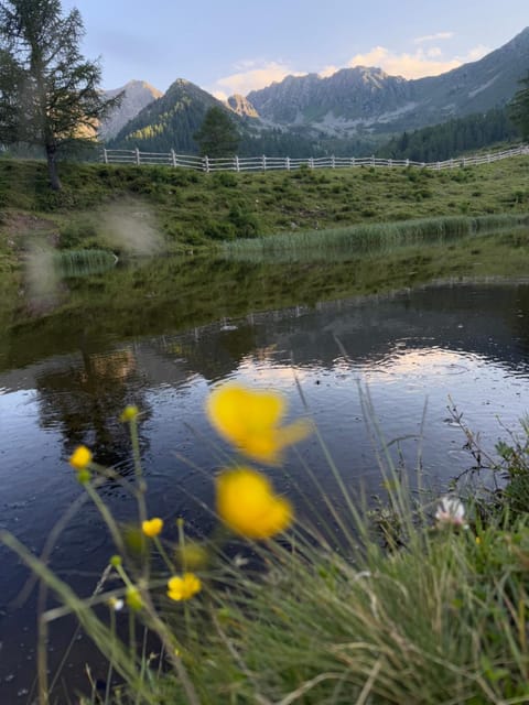 B&B Butterfly Bed and Breakfast in Trentino-South Tyrol