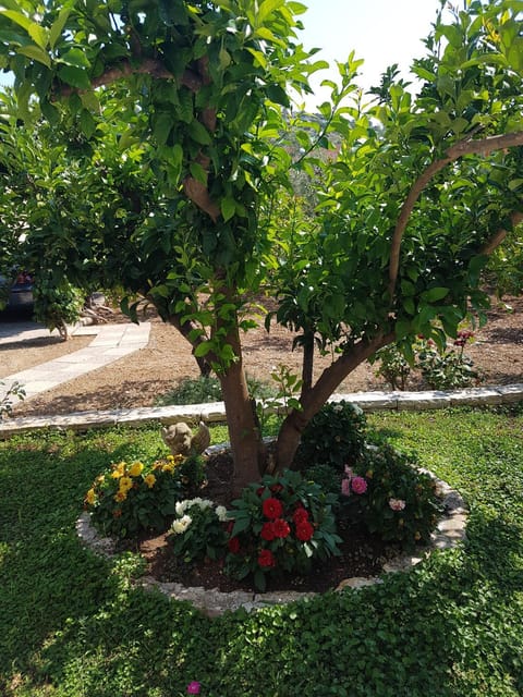 Apartmani Anita, Stupin Celine Apartment in Šibenik-Knin County, Croatia