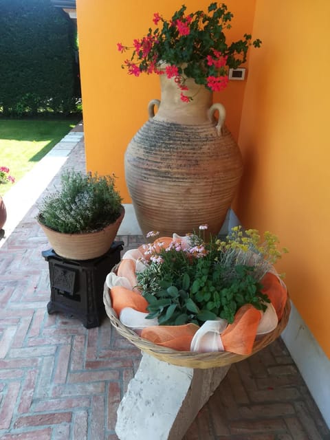 Orange House La Brigata Apartments House in Cavallino-Treporti