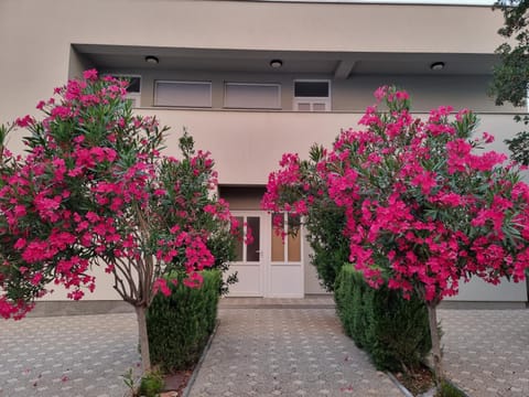 Garden, Parking