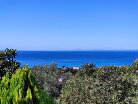 Bird's eye view, Summer, Sea view