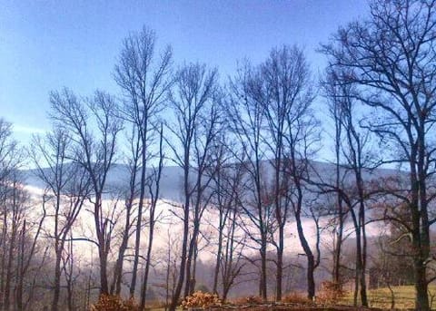 Breezy Hill Inn Bed and Breakfast in Shandaken