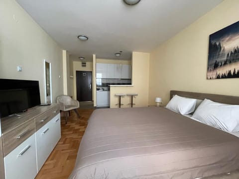 Trident Apartments 2 Apartment in Serbia