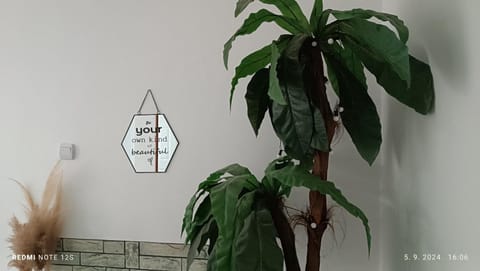 Happy Star Apartment in Serbia